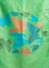 Myra Mul Cotton Saree