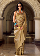 Kusum Ikkat Tissue Saree