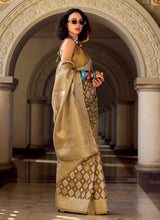 Kusum Ikkat Tissue Saree