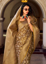 Kusum Ikkat Tissue Saree