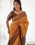 Chanchala (Saree) - Ranjvani