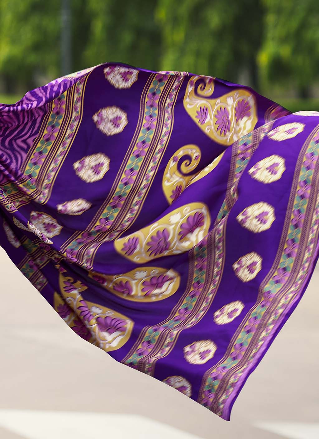 Dazzling (Saree) - Ranjvani Sarees