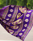 Dazzling (Saree) - Ranjvani Sarees