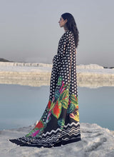 Jheel (saree) - Japan Silk