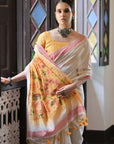 Kalyani (saree) - Cotton Saree