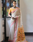 Kalyani (saree) - Cotton Saree