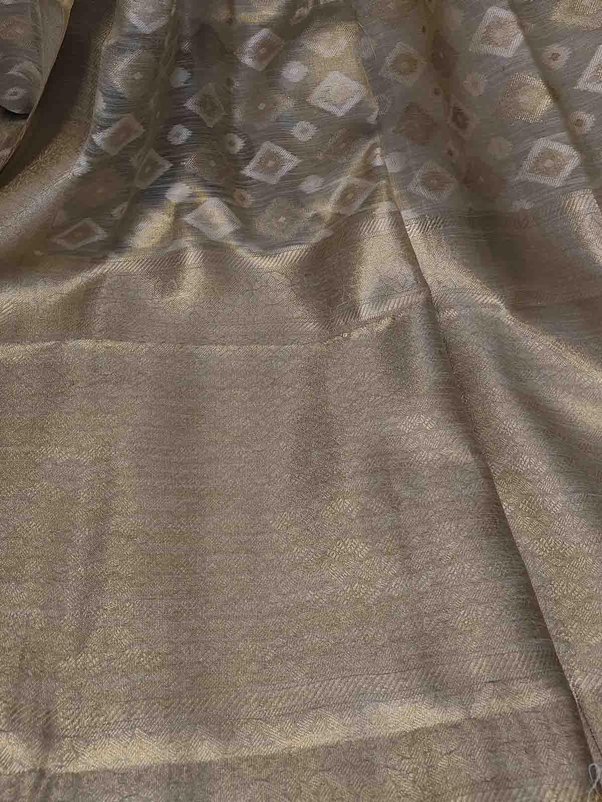 Orbella (Saree) - Tissue Silk