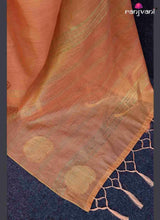 Ranjan Tissue Silk Saree - Tissue Silk